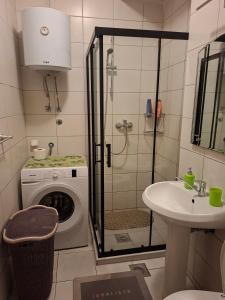 a bathroom with a washing machine and a sink at FLAMANITA APARTMENTS in Skopje +59 photos
