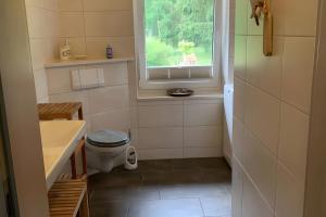 Ένα μπάνιο στο Ferienhaus Vossberg +22 φωτογραφίες