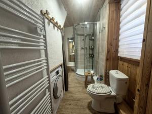 un piccolo bagno con wc e doccia di Appartement 4pers - Hyper centre Bourg St Maurice a Bourg-Saint-Maurice