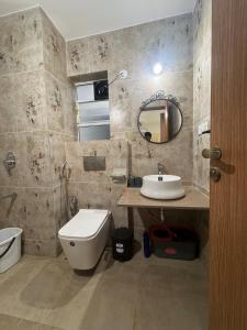 a bathroom with a toilet and a sink and a mirror at Pansoi - A luxurious cozy stay in Siolim in Oxel