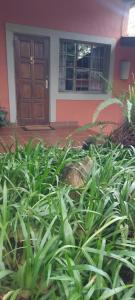 Φωτογραφία από το άλμπουμ του Lidwala Lodge σε Ezulwini