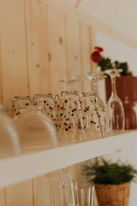 Tiny house nad potokiem في Ohłypów: رف عليه كاسات و مزهريات