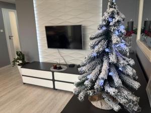 a christmas tree in a living room with a tv at Ekskluzywny Apartament Joanna w centrum Bochni in Bochnia