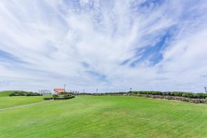 een groot groen veld met een bewolkte hemel bij L'Echassier in Biscarrosse
