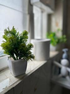 een plant in een witte pot zittend op een toonbank bij Guhan HomeStay- 2BHK Serviced Apartments - Full Furnished & Full Kitchen, WiFi & Balcony in Hyderabad +17 foto's