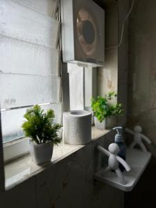 een vensterbank met potplanten en een tv bij Guhan HomeStay- 2BHK Serviced Apartments - Full Furnished & Full Kitchen, WiFi & Balcony in Hyderabad