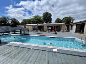 a swimming pool with two dogs in the water at Sea Dreams, Riviera Bay - Brixham in Brixham