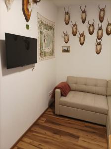 TV a/nebo společenská místnost v ubytování Panoramablick Zirbitzkogel
