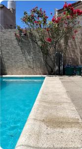 Casa Chauvin con pileta في مار ديل بلاتا: حمام سباحة به ماء ازرق و ورد احمر