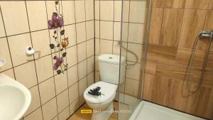 a bathroom with a toilet and a sink and a shower at Gościniec Iwona II in Bodzanów