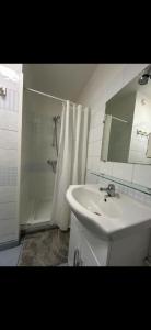 ein Badezimmer mit einem weißen Waschbecken und einer Dusche in der Unterkunft Le petit studio Rue de l'Imprimerie in Gap