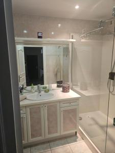 Chambre d'hôte dans appartement Lyon 69006 في ليون: حمام مع حوض ودش