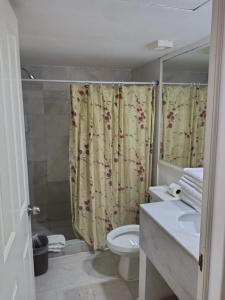 Ένα μπάνιο στο Departamentos en Ixtapa +7 φωτογραφίες