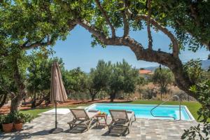 una piscina con sedie, ombrellone e albero di Villa Roza by Prime Stay a Stalida