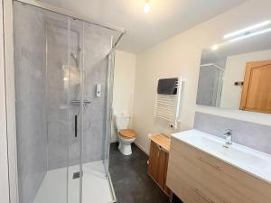 a bathroom with a shower and a sink and a toilet at Le Nomézia in Ax-les-Thermes +21 photos