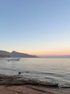 a boat in the water on the beach at Tecoma Hostel in Dahab