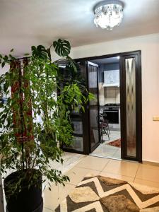 Køkken eller tekøkken på Green Village Bran