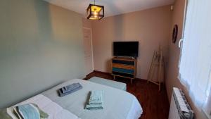 普勒尔蒂La voie verte的一间有一张床和一台电视的小房间