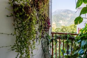a room with a window covered in plants at LiveAway Rishikesh, Laxman Jhula by PACK in Rishīkesh