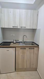 Η κουζίνα ή μικρή κουζίνα στο Beli Tigar