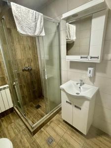a bathroom with a shower and a sink and a toilet at Apartments Peka in Dušanovac (historical) +21 photos