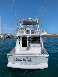 Gallery image of 4 hours Nassau Private Charter in Nassau