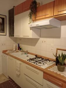 a kitchen with a stove and a sink at Accommodation in the town center, on a private courtyard in CastellʼAlfero