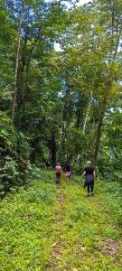 a group of people walking down a path in the woods at Sloth House in San Isidro