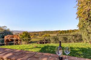 Naturlandskabet i nærheden af feriegården + 92 billeder