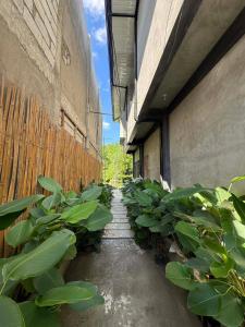 Un jardín fuera de greyhouse moalboal