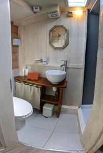 Koupelna v ubytování Péniche Canal du Midi