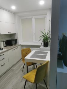 Kuchyň nebo kuchyňský kout v ubytování Buto nuoma Plungėje