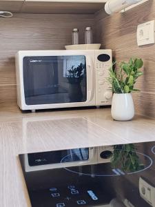 Η κουζίνα ή μικρή κουζίνα στο EMIA Family House Čatež