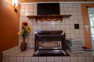 een keuken met een fornuis met handdoeken en een vaas met bloemen bij Dragon's Lair in Robbinsville