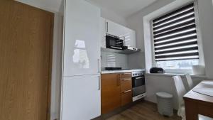 Køkken eller tekøkken på Apartmán ELEVEN