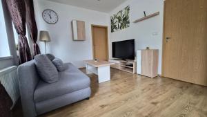 Et tv og/eller underholdning på Apartmán ELEVEN