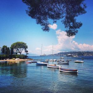 Gallery image of Market in Antibes