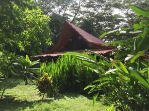 Un jardín fuera de Cabuya Lodge
