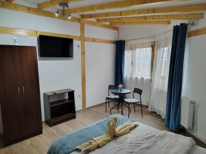 Et tv og/eller underholdning på La Mircică