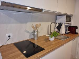 a kitchen with a sink and a counter top at Hikary in Lavra
