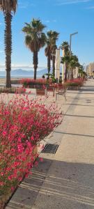 Nespecifikovaný výhled na moře nebo výhled na moře při pohledu z hotelu