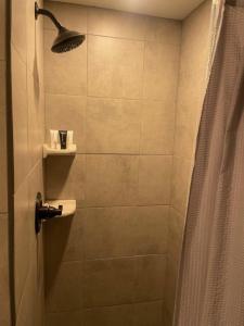 a bathroom with a shower with a sink and a shower curtain at 855 N Grant Ave in Loveland +48 photos