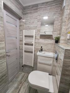a bathroom with a toilet and a sink at Apartment Premium in Topliţa