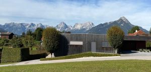 a house with mountains in the background with a driveway at PurPlus Lodge in Vorderstoder