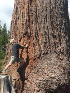 Příroda nedaleko prázdninového domu