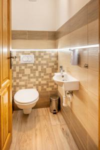 een badkamer met toilet en wastafel bij Dřevěnka pod strání in Cerny Dul +33 foto's