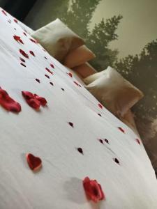 a bed with red hearts on top of it at Domaine des Pins La cabane au bord de l'eau 