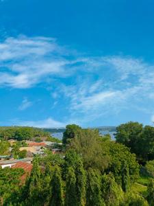 Příroda nedaleko apartmánu + 25 fotografií