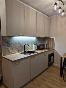 Nhà bếp/bếp nhỏ tại Apartament na Mierzei