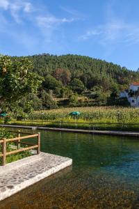 Příroda nedaleko prázdninového domu + 52 fotografií